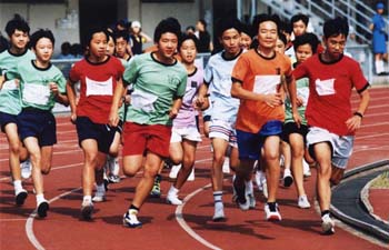 run2.jpg (31653 bytes)
